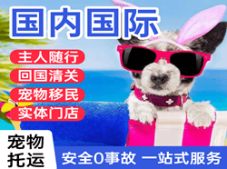 海浪空运地址国际宠物托运 【国